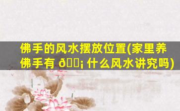 佛手的风水摆放位置(家里养佛手有 🐡 什么风水讲究吗)